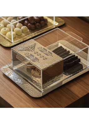 Plexi Box with Silver Hammered Metal Tray